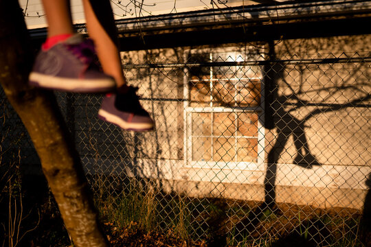 Shadow of child in a tree with feet hanging down