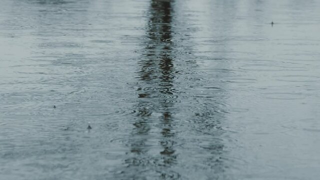 Lake surface in the rain with a lot of drops and a tree reflection. 4K 120fps slow motion.