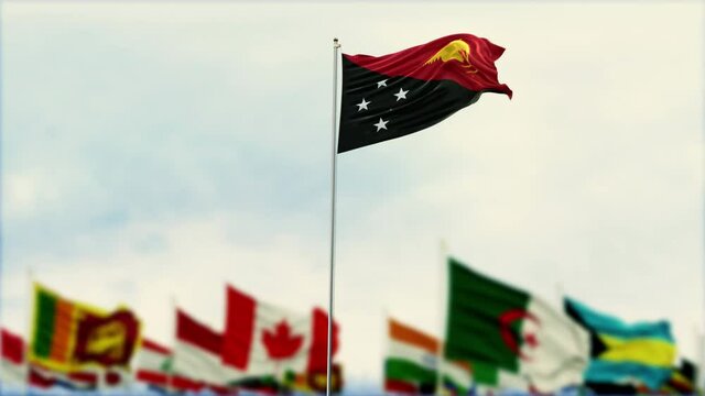 Papua New Guinea Flag With Flags Of The World And Fireworks 3D Rendering
