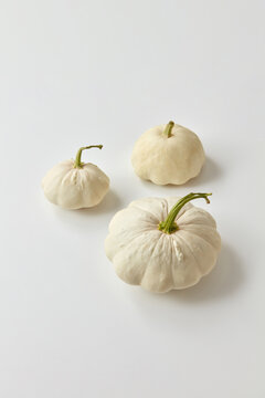 Autumn harvest from natural organic squashes.