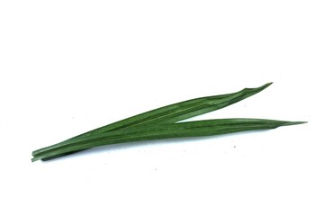 Fototapeta premium pandan leaves on white background