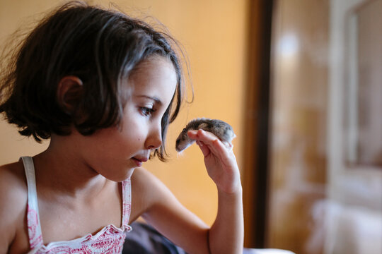 Little girl holding a hamster next to her face