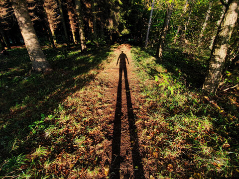 Shadow of a man in forest