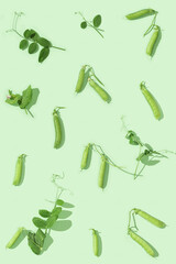 Fresh sweet green pea pods with leaves, pea sprouts. Pattern from peas and green shoots.