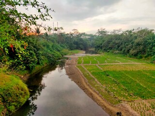 rivers and rice fields in the mountains