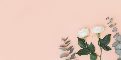 Beautiful white rose flower with branch of eucalyptus on pastel pink background with copy space. Holiday concept. Nature background.