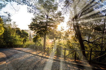 Atardecer en caminos de piedra.