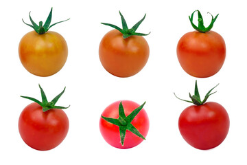 Tomato set. Color gradient tomato on white background.