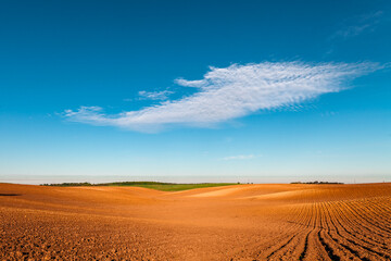 Plowed field in spring time with blue sky.
