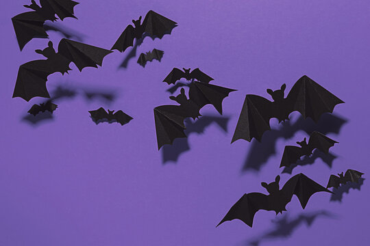 Halloween bats