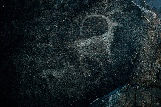 petroglyph, Kazakhstan