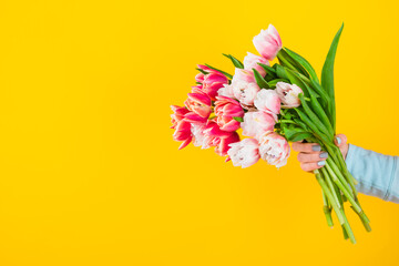 Red tulip bouquet on yellow background. Easter and spring greeting card Woman day concept Copy Space for text.