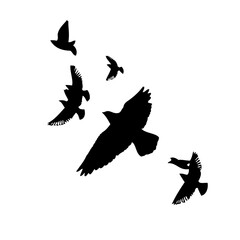 A flock of flying birds. Vector illustration
