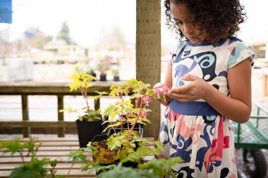 Girl examines bleeding heart plant