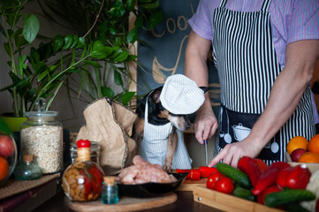 Man in an apron and his dog in a chef's cap and apron are cooking food in the kitchen. A very cute photo of friendship and joint activities. Cooking concept