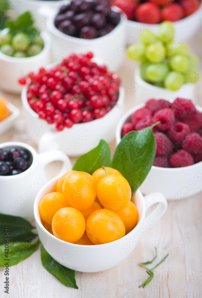 Canvas Prints berry mix isolated on a white background