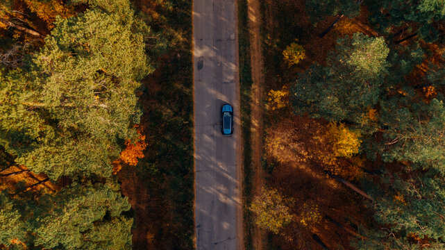 Overhead view Of a brand new blue Car Driving Through Forest road