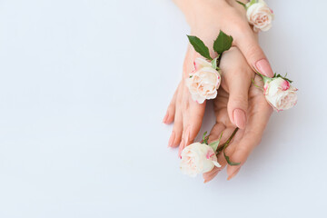 Female hands with beautiful flowers on light background