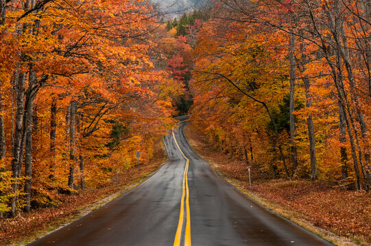 Autumn Two Lane