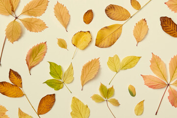 Creative natural leaves background of yellow color.