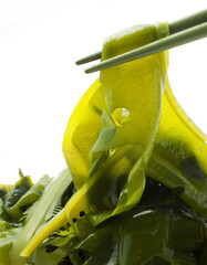 ワカメ　　　湯通し © ykokamoto