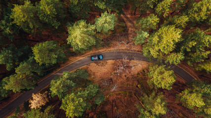Overhead view Of a brand new blue Car Driving Through Forest road