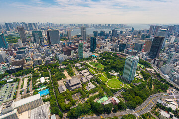 Obraz premium A panoramic view on Tokyo city and Odaiba island in Japan