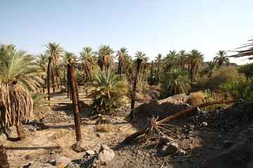 Khaybar to the north of Medina in the Hejaz. Before the advent of Islam in the 7th century CE,...