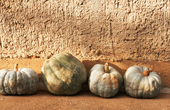 Organic pumpkins