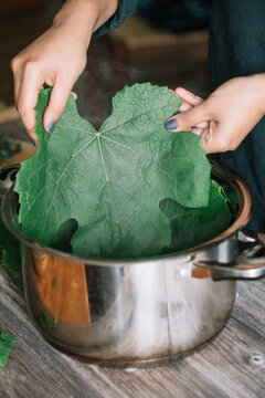 Anonymous Woman Boiling Wine Leaves For Handmade Dolmadakia
