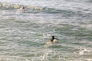 surfing the waves