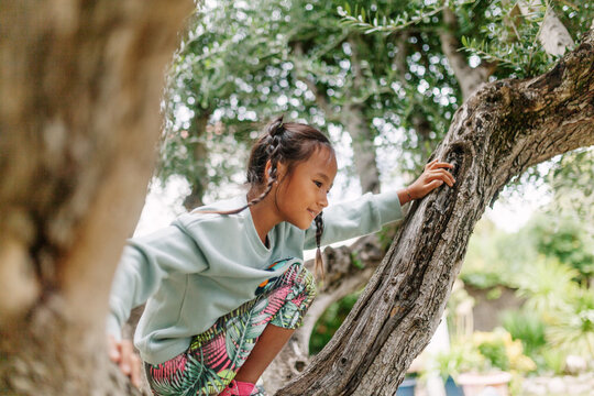 Girl climbing a tree