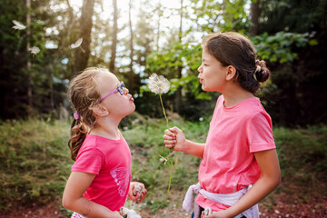 Two young girls blowing a big dandelion together