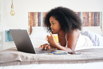 Girl browsing internet