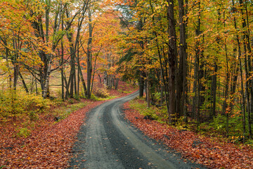 An Autumn Road In Vermont