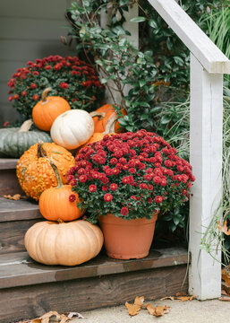 Southern fall porch decorated with mums