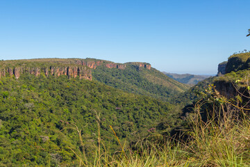 View into a small canyon in the Chapada dos Guimaraes Nationalpark in Mato Grosso, Brazil