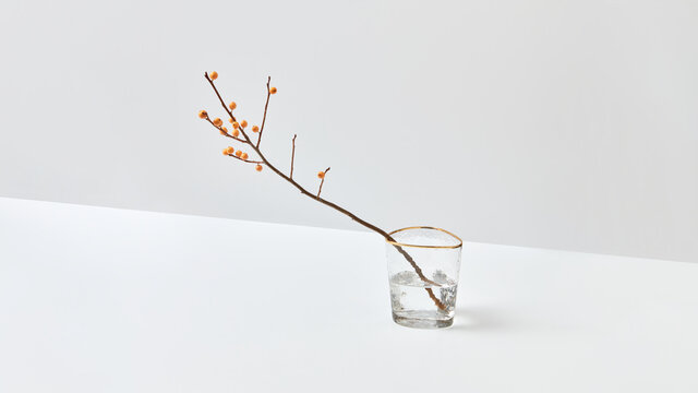 Glass vases with twig of seabuckthorn berries.