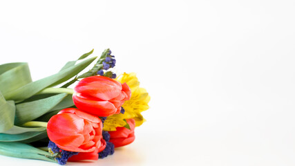Bunch of red tulips and lilies lying on a white background, copy space. Bouquet of bright beautiful spring flowers