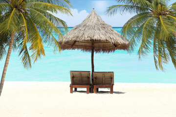beach summer and beach chair