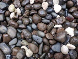 a collection of small white, gray and black stones that are wet from the rain in the yard in the morning
