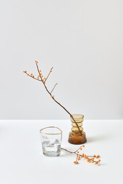 Twigs with seabuckthorn berries in a glass vases.