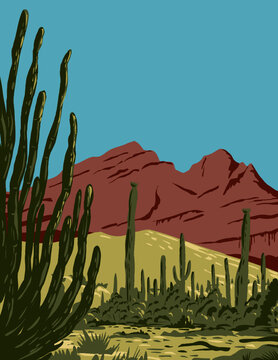 WPA poster art of the Organ Pipe Cactus National Monument and biosphere reserve located in Arizona that shares border with the Mexican state of Sonora done in works project administration style style.