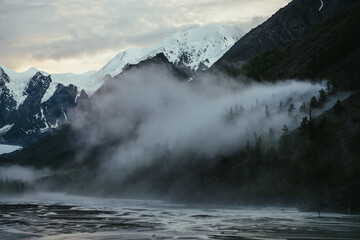 Atmospheric landscape with great snowy mountains on sunset and dense low clouds in mountain valley with forest silhouette on mountainside. High snow-capped mountain on sunrise and thick low clouds.