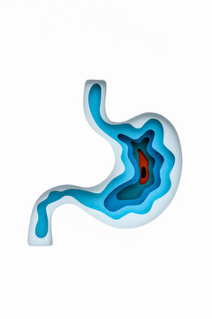 Abstract handmade from paper structure of human stomach.