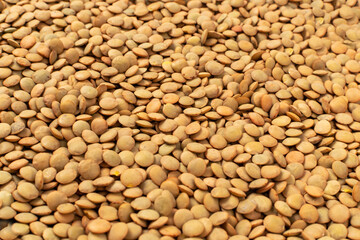 Raw Dry Lentils, Lentil Grains, Dal, Daal, Dhal, Masoor