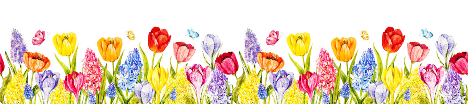 Watercolor seamless border with spring flowers: tulips, hyacinths, mimosa, crocuses, muscari, greenery, butterflies. Vintage flowers. Botanical hand drawn illustration. Garden summer flowers