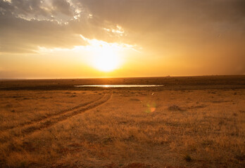 Fototapeta na wymiar Sunset over the savanah