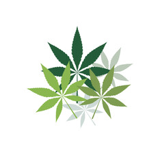 hemp leaf