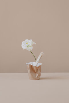 Conceptual still life